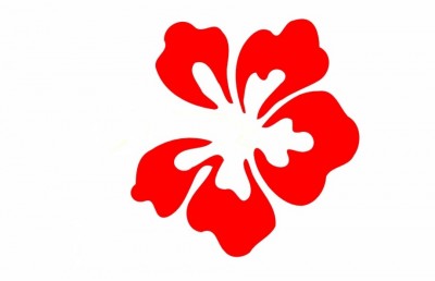 Moana Flower clipped.jpg