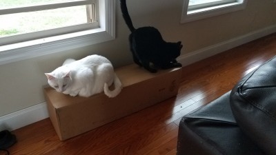 20201111_151255.jpg